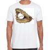 Mens Softstyle Tee Shirt Thumbnail